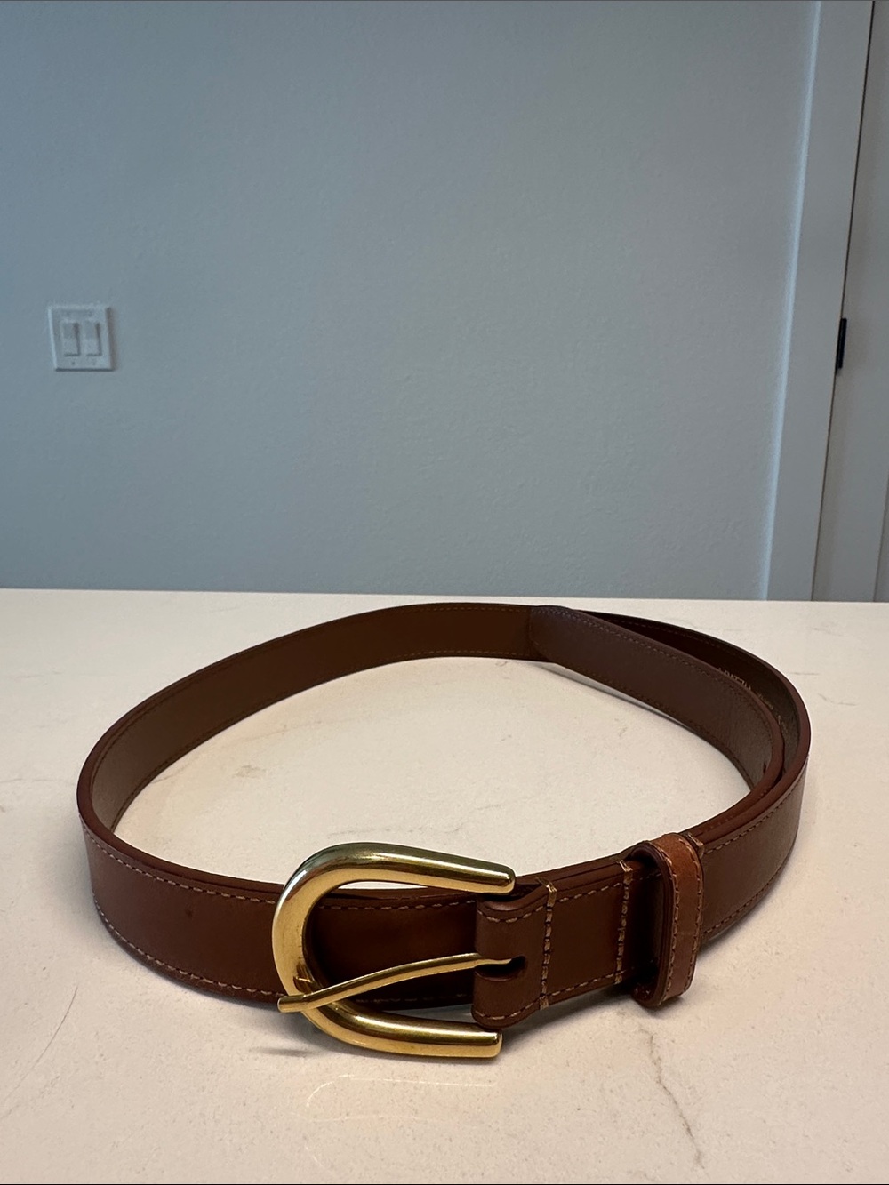 Aritzia Brown Leather Belt with Gold Buckle